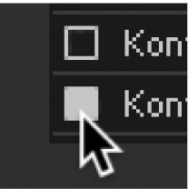 A checkbox interface element.