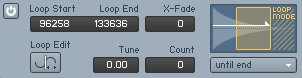 The Detail view for loops.