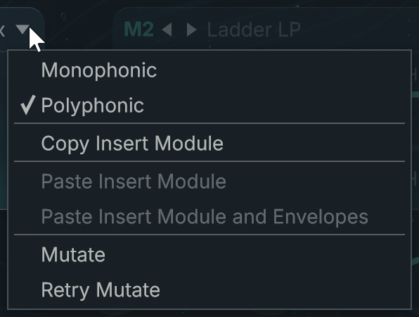A6_PatchPage-InsertModuleM1-EditMenu.jpg