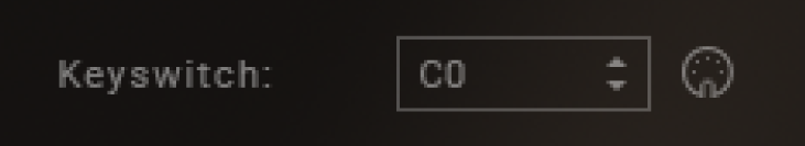 AMATI__Keyswitch.png