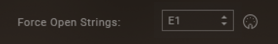 AMATI__Forced_Open_Strings.png