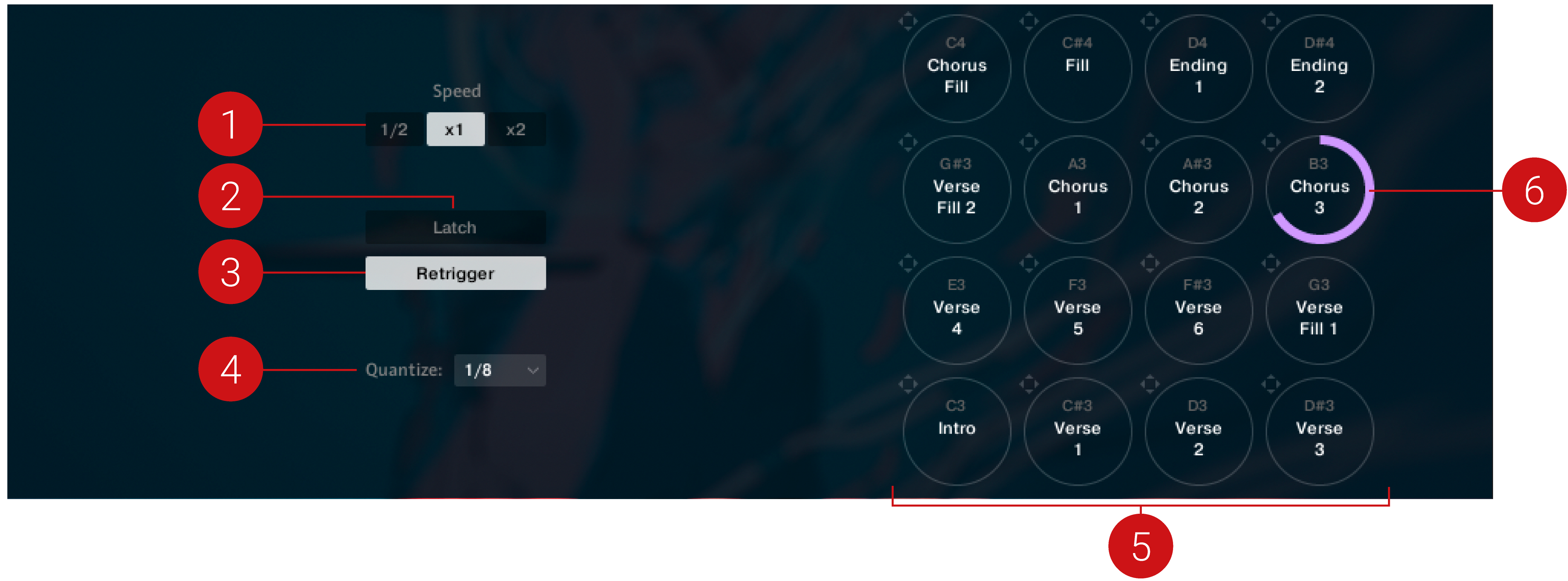 BVD_Callouts_Pattern_View.png