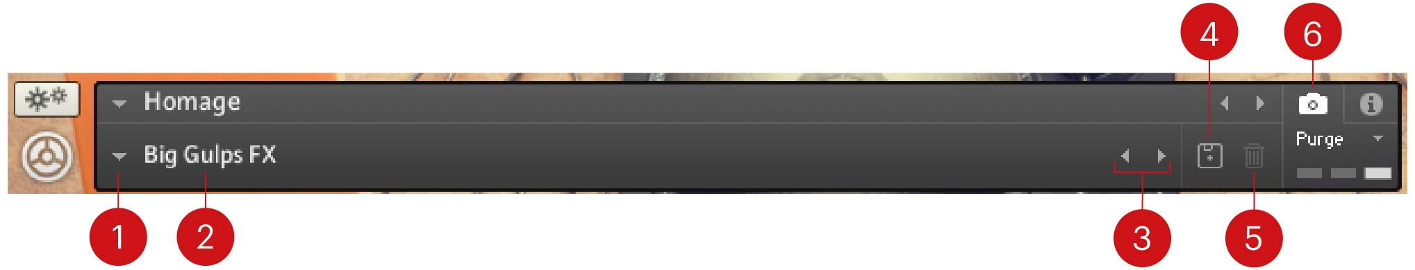 HOMAGE_Snapshots_Overview_Callout_AD.jpg