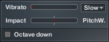 ICON_BASS_Top_Box_1.jpeg