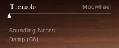 IRISH_HARP_Performance_Slider.jpeg