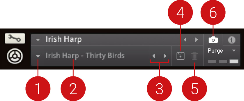 IRISH_HARP_Snapshots_Overview_Callouts.jpg