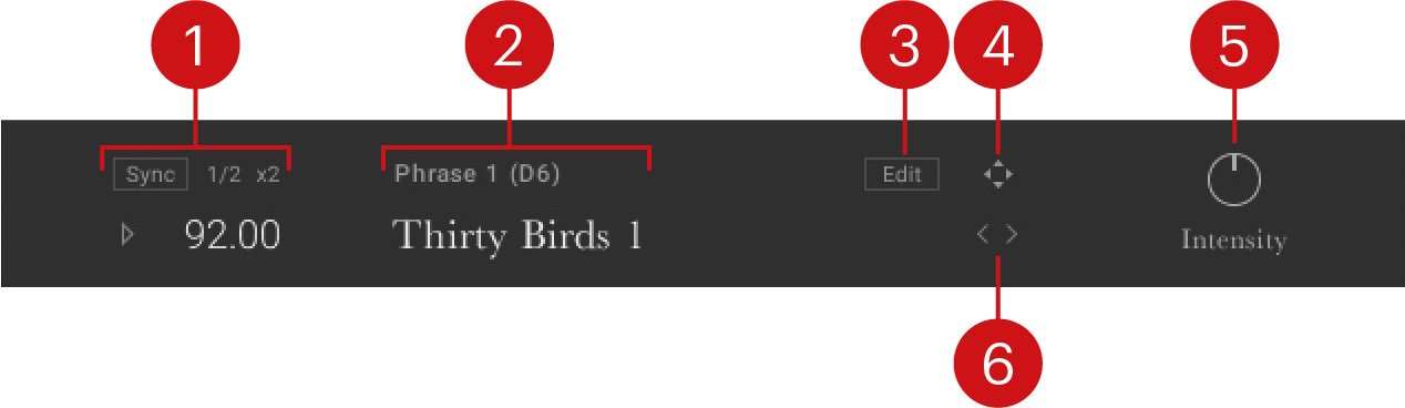 IRISH_HARP_Phrase_Controls.jpeg
