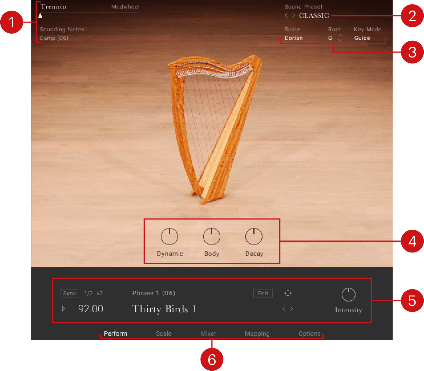 IRISH_HARP_Overview_Large.jpeg