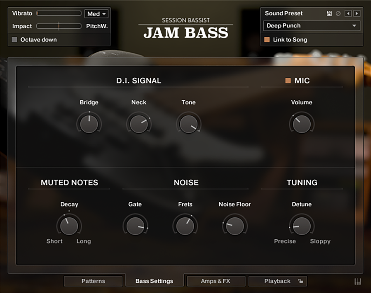 guitarsettings_page.png