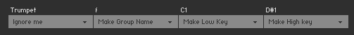 The auto mapping dialog with the first token being selected as "ignore me".