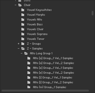 The upper container of the file browser, displaying a tree view of the file system.