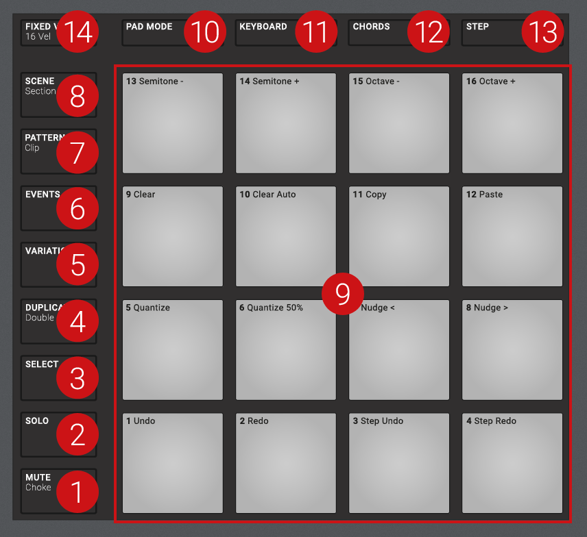 MAS+_Pad_Section.png