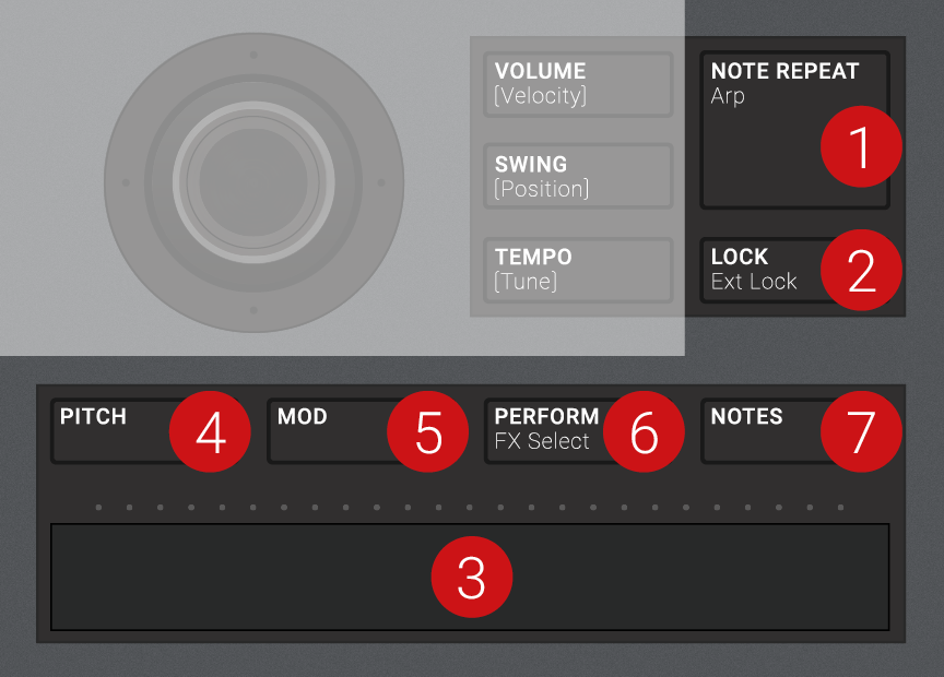 MAS__Performance_Section.png
