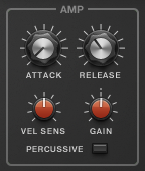 RM_Amp.png