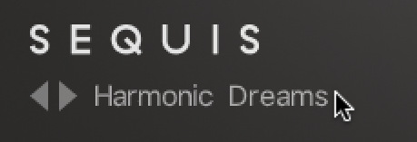 Loading_Preset.png