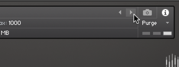 Snapshot_Load_Arrow.png
