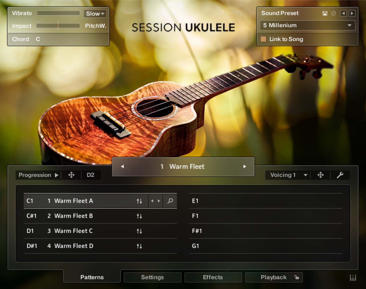 Ukulele_Welcome.jpeg