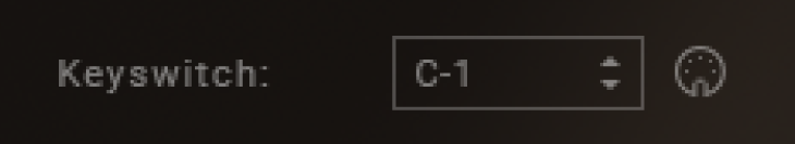 CELLO_Screenshot_Keyswitch.png