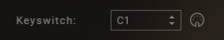 VIOLIN_Keyswitch.png