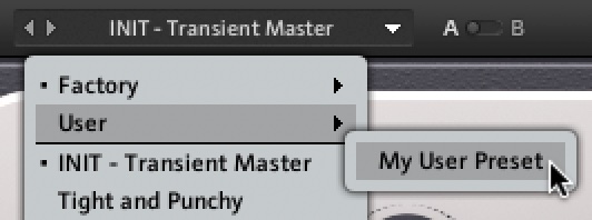 TRANSIENT_MASTER_User_Preset.jpg