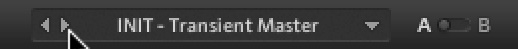 TRANSIENT_MASTER_Switch_Presets.jpg