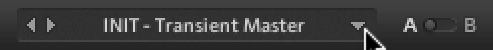 TRANSIENT_MASTER_Preset_List.jpg