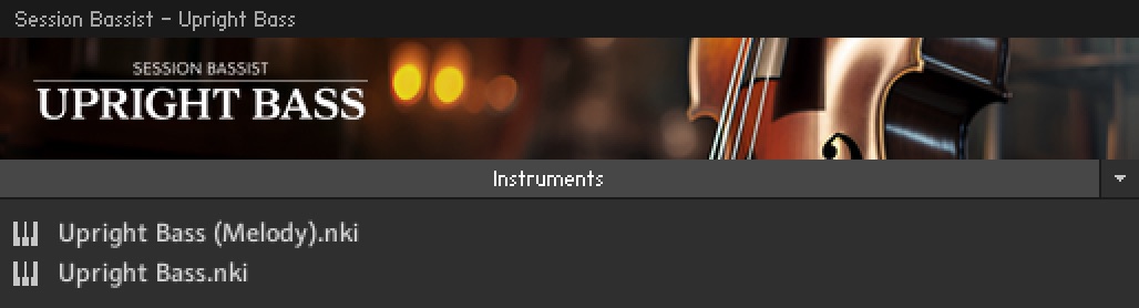 Upright_Bass_Load_Rack.jpg