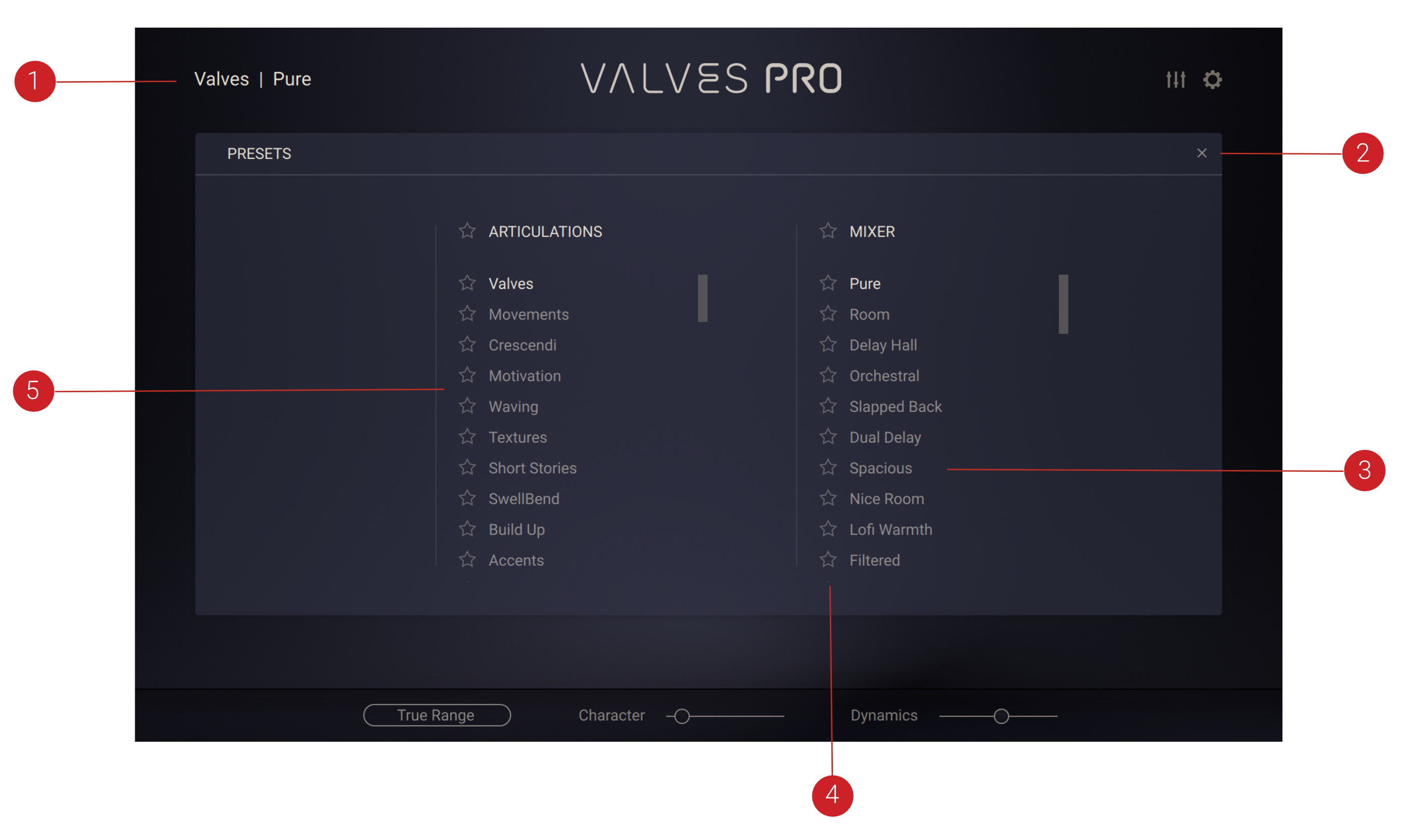 VALVES_PRO_Ensemble_browser.jpg
